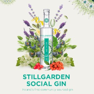 Eiremade Drinks Social Gin 700ml